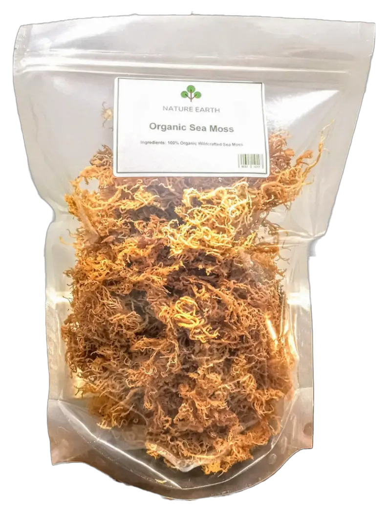 Organic Wildcrafted Sea Moss Organic Sea Moss Lavia Health  Lavia Health